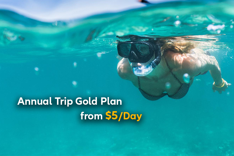 Year-Round Trip Cancellation Coverage