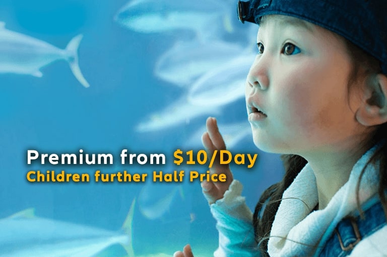 Purchase Allianz Hong Kong Single Trip Travel Insurance online to enjoy comprehensive coverage, including flight or trip cancellations and delays.